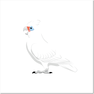 Little corella Posters and Art